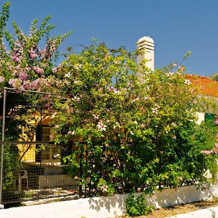Apartamento House With Garden Near The Sea Agia Efimia Exterior foto
