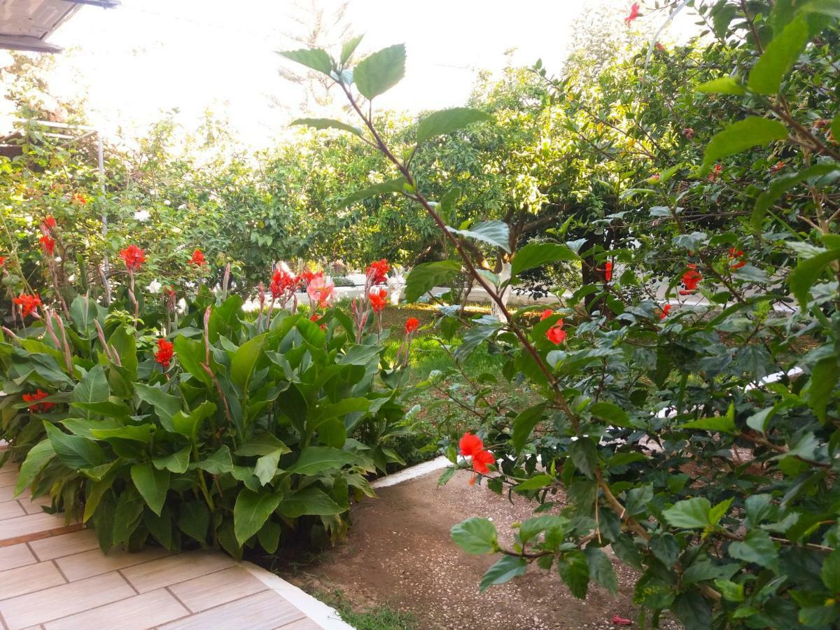 Apartamento House With Garden Near The Sea Agia Efimia Exterior foto