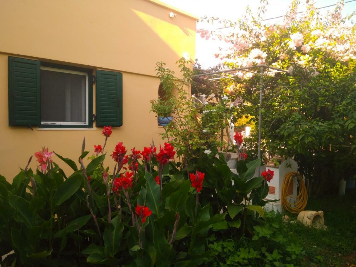 Apartamento House With Garden Near The Sea Agia Efimia Exterior foto